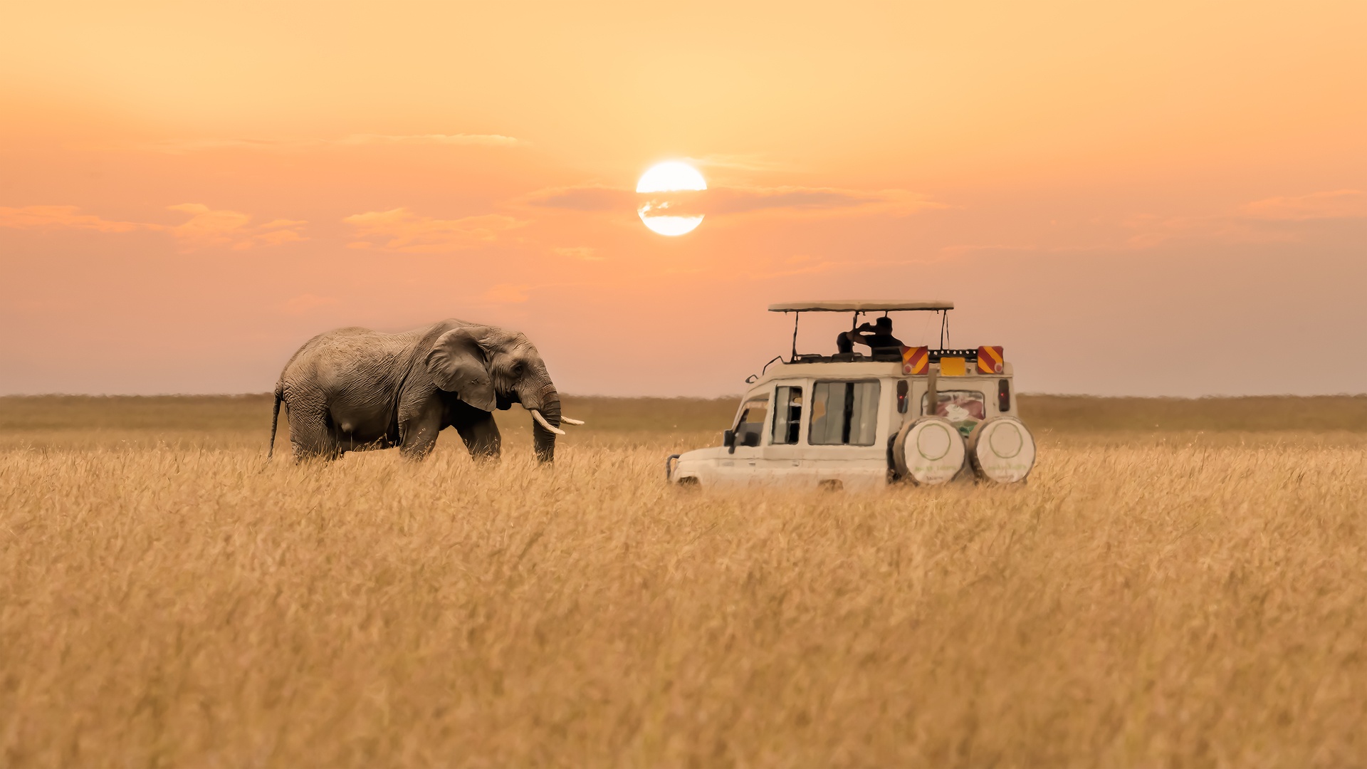 Luxury Kenya Safari with The Mora Zanzibar Extension